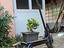 Immagine 2