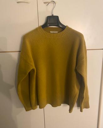 Maglione girocollo 100% lana Homeward giallo senap