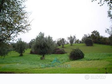 Terreno di 600 m² a Teano
