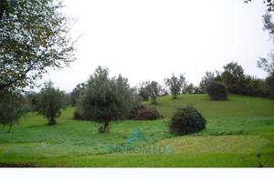Terreno di 600 m² a Teano