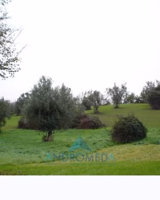 Terreno di 600 m² a Teano