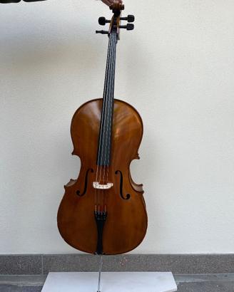 Violoncello (1/2)