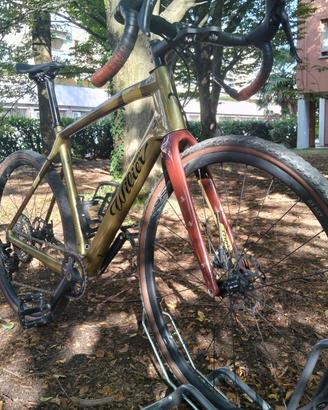 Bici Gravel Wilier Triestina Jena 12 rapporti