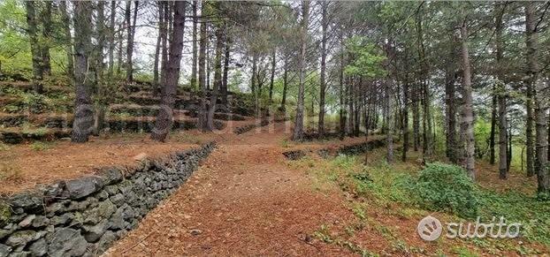 Terreno 20.000mq con fabbricato a Piedimonte Etneo - Altro