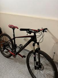 Bicicletta Mountain bike