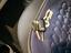 Immagine 19