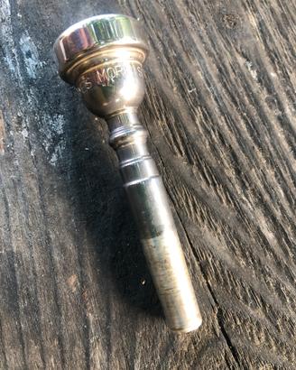 Bocchino 3C Schagerl James Morrison