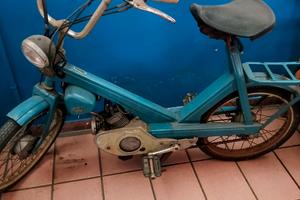 Motom buzz 