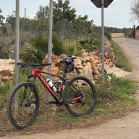 Orbea alma carbon L