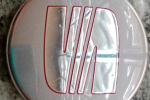 Tappo coprimozzo Seat Ibiza Sport Coupé 2009 usato