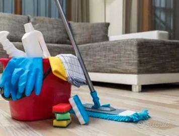 Pulizie domestiche