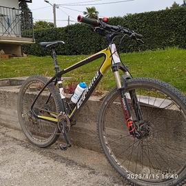 MTB CARBONIO 
