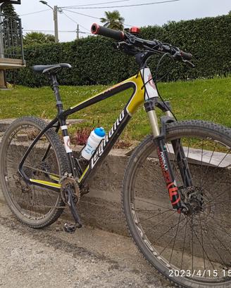 MTB CARBONIO 