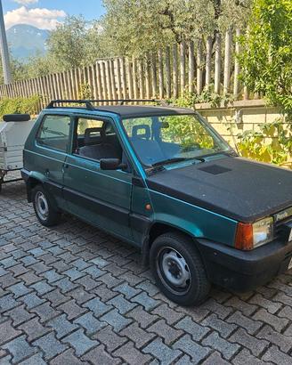 fiat panda + carrello appendice 