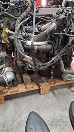 Motore Ford Focus 1.6 2011 T3DB