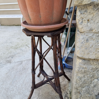 Sgabello in vigna e pino per appoggio piante