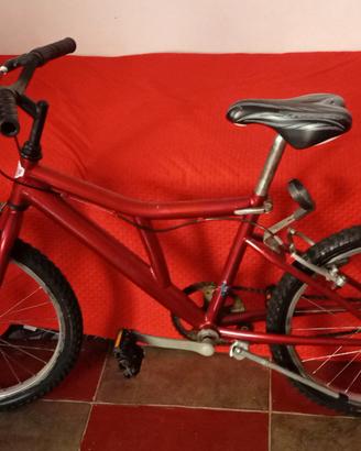 bicicletta