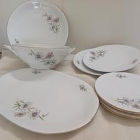 set piatti bavaria vintage dipinti a mano