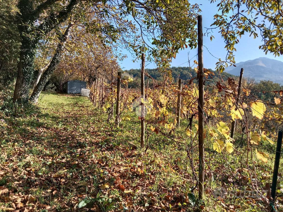 TER. AGRICOLO A SAN POTITO ULTRA - Vista 4