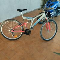Bici da ragazzo