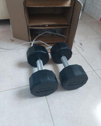2 pesi da 8 kg in metallo e gomma nuovissimi