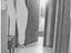 Immagine 8