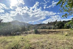 Contrada Cannita - Terreno agricolo 1000 mq