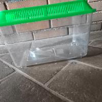 Acquario per pesci domestici 