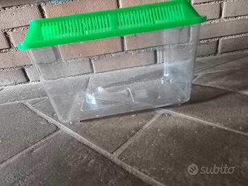 Acquario per pesci domestici 