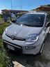 fiat-panda-1-0-firefly-s-s-hybrid
