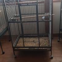 Voliera per pappagalli