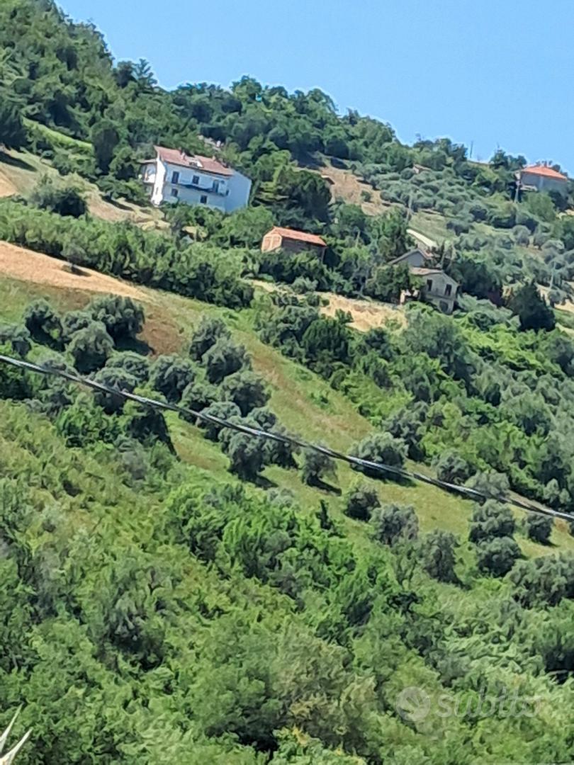 Terreno agricolo - Vista 5