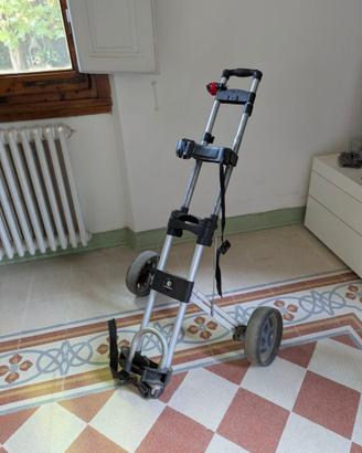 carrello da golf
