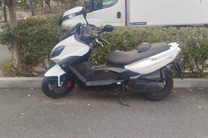 Xciting 300 del 2009