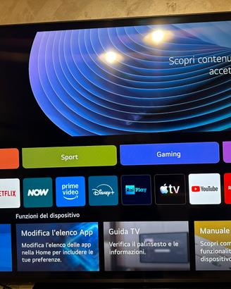 LG 75 pollici full HD anno 2024