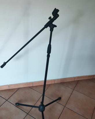Asta per microfono