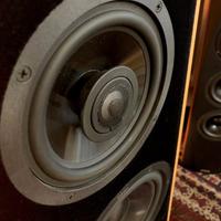 Canton Digital 2.1 Speakers