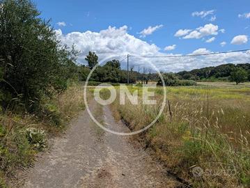 Terreno di 60000 m² a Ardea