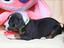 Immagine 5