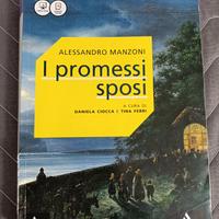 Libro "I promessi Sposi" - Manzoni