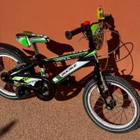 Bicicletta bimbo 4 anni