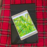 Apple iPad Pro 10.5” 256GB