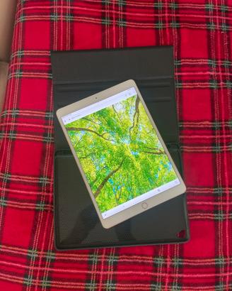 Apple iPad Pro 10.5” 256GB