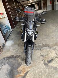 Honda hornet
