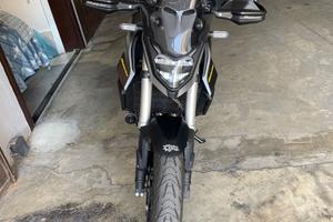 Honda hornet