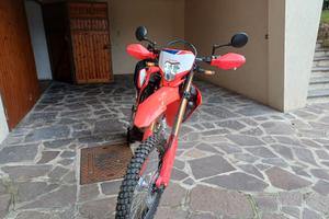 honda crf 300  anno 2025 agosto