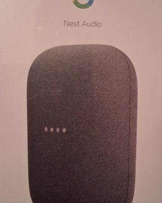 Goole Nest Audio
