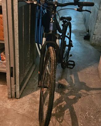 Bici 