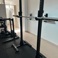 Lacertosus half rack