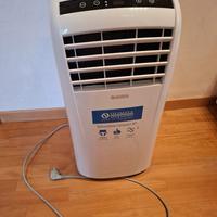 Condizionatore Portatile (Tipo Pinguino)